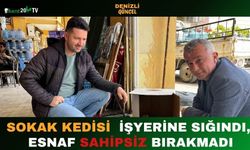 Sokak Kedisi İşyerine Sığındı, Esnaf Sahipsiz Bırakmadı
