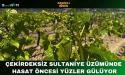 Çekirdeksiz Sultaniye Üzümünde Hasat Öncesi Yüzler Gülüyor