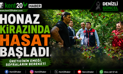 Honaz Kirazında Hasat Başladı