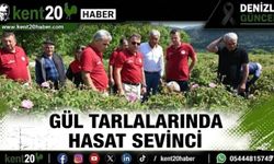 Gül Tarlalarında Hasat Sevinci