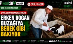 ERKEN DOĞAN BUZAĞIYA BEBEK GİBİ BAKIYOR