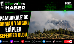 Pamukkale'de Orman Yangını Ekipler Seferber Oldu