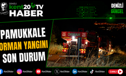 Pamukkale Orman Yangını Son Durum