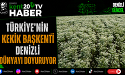 Türkiye'nin Kekik Başkenti Denizli Dünyayı Doyuruyor
