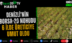 Denizli'nin Borsa-20 Nohudu 6 İlde Üreticiye Umut Oldu