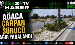 Ağaca Çarpan Sürücü Ağır Yaralandı