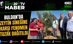 Buldan'da Zeytin Sineğine Karşı Fenomen Tuzak Dağıtıldı