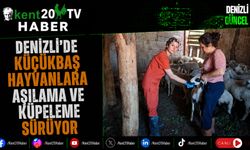 Denizli'de Küçükbaş Hayvanlara Aşılama ve Küpeleme Sürüyor
