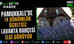 Pamukkale'de 14 Dönümlük Ücretsiz Lavanta Bahçesi İlgi Görüyor