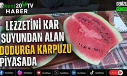 Lezzetini Kar Suyundan Alan Dodurga Karpuzu Piyasada