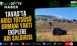 Tavas'ta Arıcı Tütsüsü Ormanı Yaktı Ekiplere Arı Saldırısı