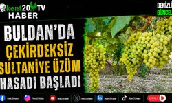 Buldan'da Çekirdeksiz Sultaniye Üzüm Hasadı Başladı