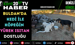 BULDAN’DA KEDİ İLE KÖPEĞİN YÜREK ISITAN DOSTLUĞU