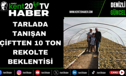 Tarlada Tanışan Çiftten 10 Ton Rekolte Beklentisi