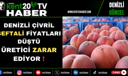 Denizli Çivril Şeftali Fiyatları Düştü Üretici Zarar Ediyor