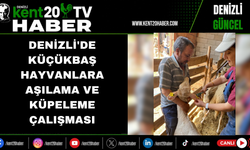 Denizli'de Küçükbaş Hayvanlara Aşılama ve Küpeleme Çalışması