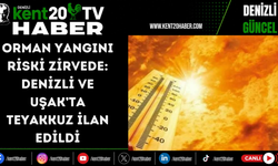 Orman yangını riski zirvede: Denizli ve Uşak’ta teyakkuz ilan edildi