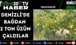 Denizli’de bağdan 2 ton üzüm çaldılar