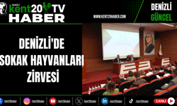 Denizli'de Sokak Hayvanları Zirvesi