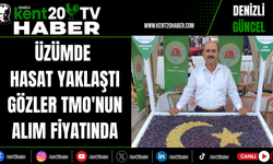 Üzümde Hasat Yaklaştı Gözler TMO'nun Alım Fiyatında