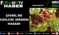 Çivril'de Kızılcık (Ergen) Hasadı