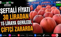 Şeftali Fiyatı 30 Liradan 15 Liraya Geriledi, Çiftçi Zararda
