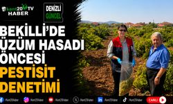 Bekilli'de Üzüm Hasadı Öncesi Pestisit Denetimi