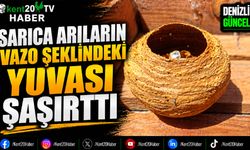 Sarıca Arıların Vazo Şeklindeki Yuvası Şaşırttı