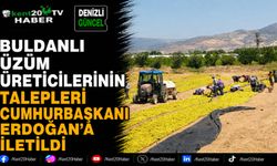 Buldanlı üzüm üreticilerinin talepleri Cumhurbaşkanı Erdoğan'a iletildi