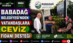 Babadağ Belediyesi'nden Vatandaşlara Ceviz Fidanı Desteği