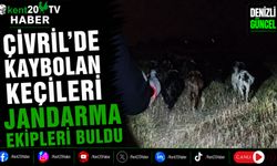 Çivril'de Kaybolan Keçileri Jandarma Ekipleri Buldu