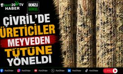 Çivril'de Üreticiler Meyveden Tütüne Yöneldi