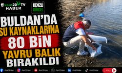 Buldan'da Su Kaynaklarına 80 Bin Yavru Balık Bırakıldı