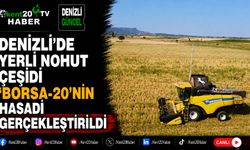 Denizli'de yerli nohut çeşidi 'Borsa-20'nin hasadı gerçekleştirildi