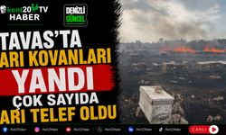 Tavas'ta Arı Kovanları Yandı Çok Sayıda Arı Telef Oldu