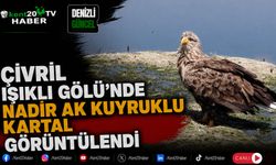 Çivril Işıklı Gölü'nde Nadir Ak Kuyruklu Kartal Görüntülendi