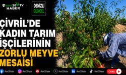 Çivril'de Kadın Tarım İşçilerinin Zorlu Meyve Mesaisi
