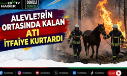 Alevlerin ortasında kalan atı itfaiye kurtardı