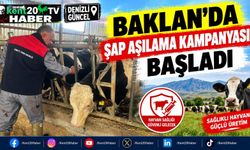 Baklan'da şap aşılama kampanyası başladı