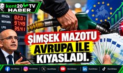 ŞİMŞEK MAZOTU AVRUPA İLE KIYASLADI