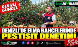 Denizli'de Elma Bahçelerinde Pestisit Denetimi