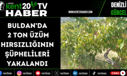 Buldan’da 2 ton üzüm hırsızlığının şüphelileri yakalandı