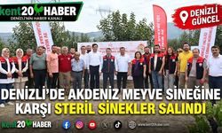 Denizli'de Akdeniz meyve sineğine karşı steril sinekler salındı