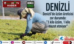 Denizli’de üzüm üreticisi zor durumda: "1 kilo üzüm, 1 kilo mazot etmiyor"