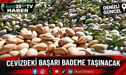 Cevizdeki başarı bademe taşınacak