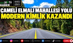 ÇAMELİ ELMALI MAHALLESİ YOLU MODERN KİMLİK KAZANDI