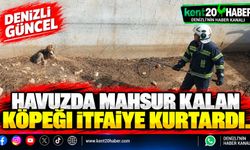 Havuzda mahsur kalan köpeği itfaiye kurtardı