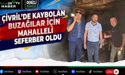 Çivril'de kaybolan buzağılar için mahalleli seferber oldu