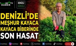 Denizli’de meşhur Kayaca biberinde son hasat
