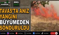 Tavas’ta anız yangını büyümeden söndürüldü